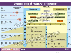 Таблица демонстрационная "Сравнение понятий изомер и гомолог" (винил 70x100)