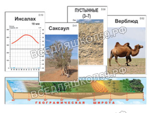 Модель-аппликация "Природные зоны" (ламинированная) Модель-аппликация "Природные зоны" (ламинированная)