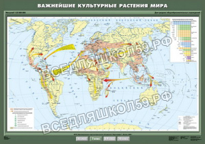 Учебн. карта "Важнейшие культурные растения мира" 100х140