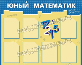 Юный математик Юный математик