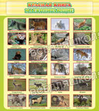красная книга - млекопитающие красная книга - млекопитающие