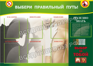 Выбери правильный путь! Выбери правильный путь!