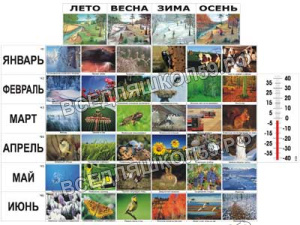 Фенологические наблюдения