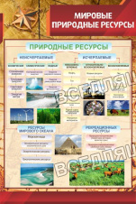 Мировые природные ресурсы Мировые природные ресурсы