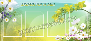 Экология и мы Экология и мы