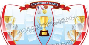 Спортивная жизнь Спортивная жизнь
