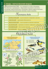 Биология 10-11 классы. Эволюционное учение (10 таблиц) Биология 10-11 классы. Эволюционное учение (10 таблиц)
