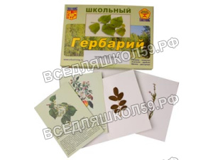 Гербарий "Деревья и кустарники" (22 вида, с иллюстрациями) Гербарий "Деревья и кустарники" (22 вида, с иллюстрациями)