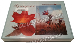 Гербарий "Сорные растения" (24 вида) формат А-3 Гербарий "Сорные растения" (24 вида) формат А-3