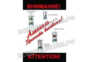Компакт-диск "Алкоголь.Признать виновным"(DVD)