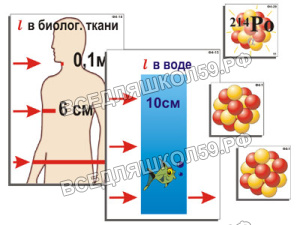 Модель-аппликация "Явление радиоактивности" (ламинированная) Модель-аппликация "Явление радиоактивности" (ламинированная)