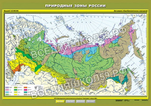 Учебн. карта "Природные зоны России" 100х140