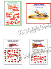 Плакаты ПРОФТЕХ "Разделка мяса" (8 пл, винил, 70х100)