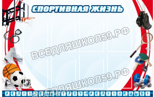 Спортивная жизнь Спортивная жизнь