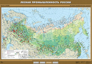 Учебн. карта "Лесная промышленность России" 100х140 Учебн. карта "Лесная промышленность России" 100х140