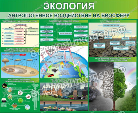 Экология. Антропогенное воздействие на биосферу