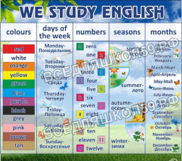 We study english We study english