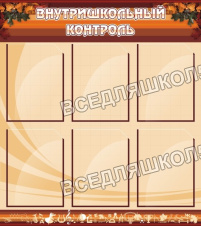Внутришкольный контроль
