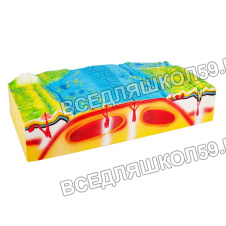 Модель "Строение рельефа морского дна" Модель "Строение рельефа морского дна"