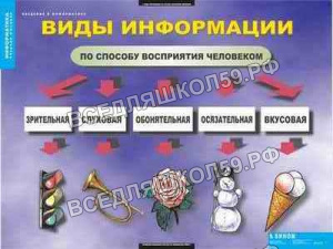 Введение в  информатику (12 табл.)