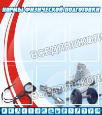 Нормы физической подготовки Нормы физической подготовки