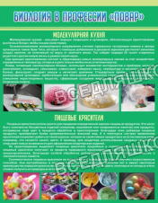 Биология в профессии повар Биология в профессии повар